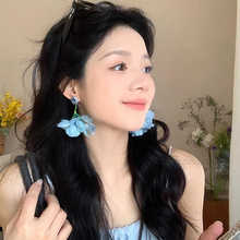 ���һ���~ɭϵ��ɫõ�廨�����K���Ů���ɷՇ��ж��h�߼��ж��Q