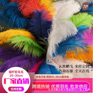 �i�깤�S���l�F؛��ë25-30cm�r�Bë ���U���|�������̨����