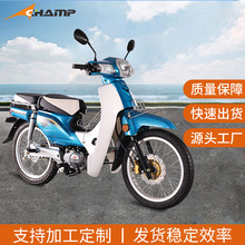 新款甜梦电动摩托车 户外骑行女高速电动车 国标认证两轮电动摩托