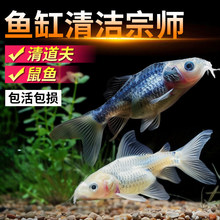 �^�p�~������~���坍����С�͟Ꭷ���R��ȸ�~�猣�ԼS����̦���~