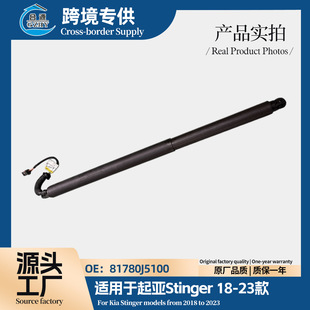 �m�������Stinger18?23�� ���Һ����늄�β�T�ΗU 81780J5100