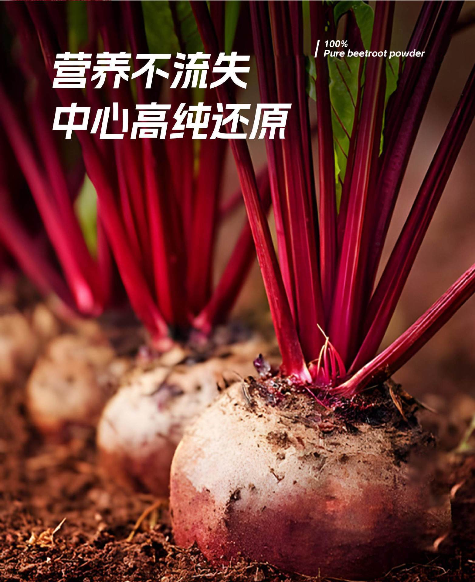 Pure Beetroot Powder 60g Stick Packs Natural Dietary Fiber Drink Mix for Fitness Meal Replacement specifications