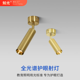 �~��ɫ��ɫ�p��led���b������{�Ƕ�COB�۹�����þƵ깤��С���