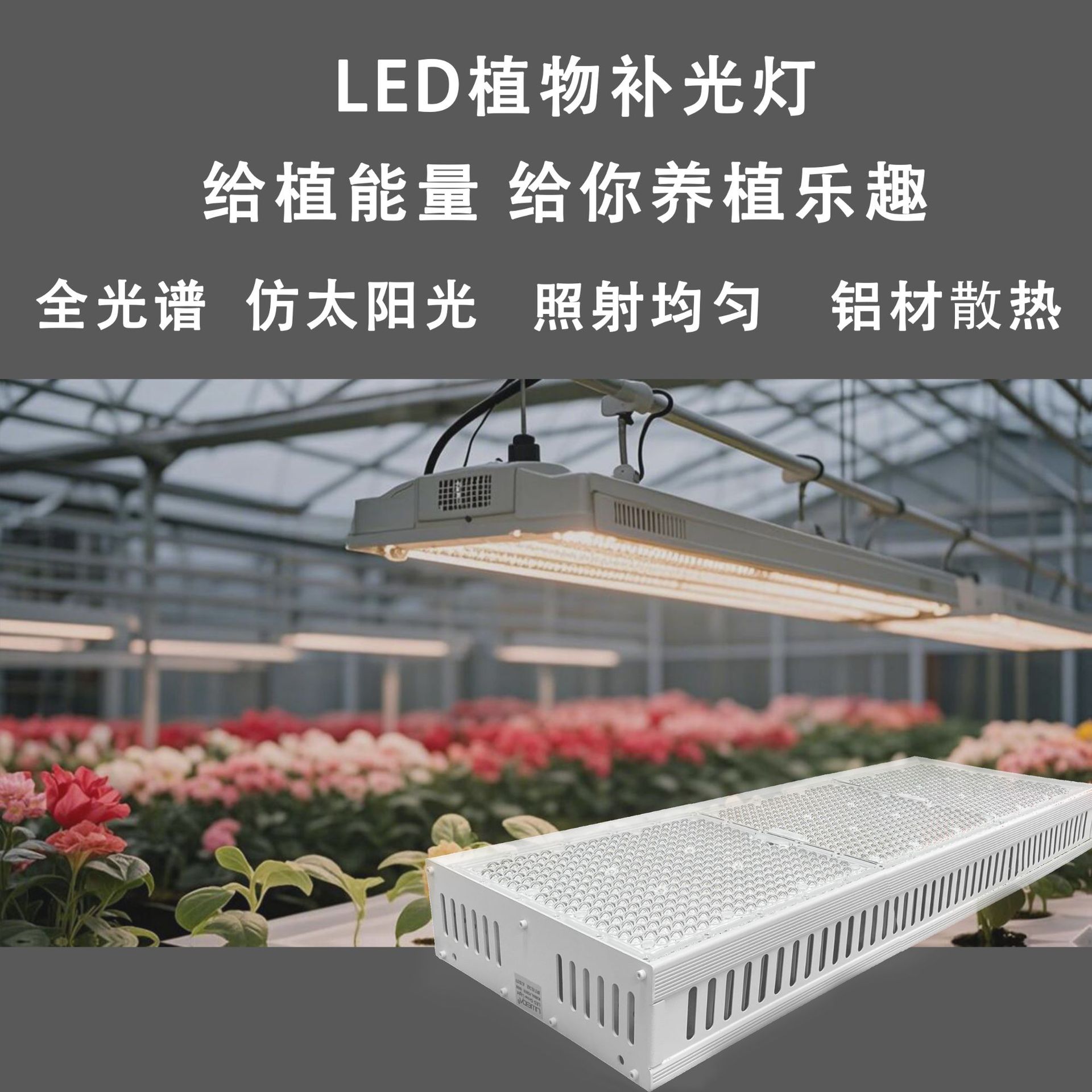 1000W�����ֲ���������������羰��ȫ������ֲ����ֲ��羳