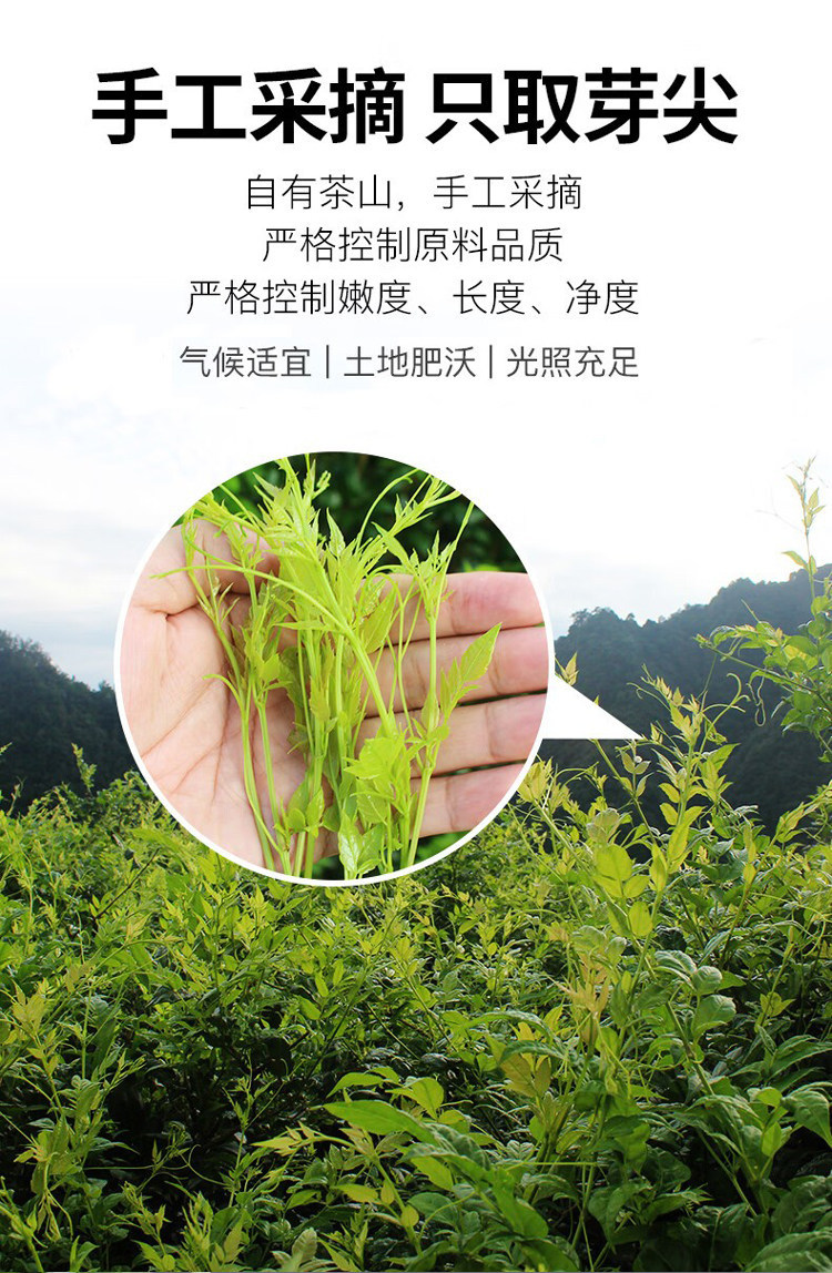 Wild Mei Tea Zhangjiajie Premium Wild Vine Tea 500g Pre-Qingming Purple Gold Bud Tips Hot Brew Herbal Tea key features