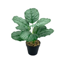 �S��ֱ�N����ֲ��9���O���~�����^�z�Gֲ�����쾰���l