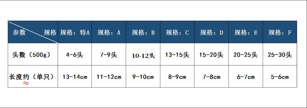 海参修改.jpg