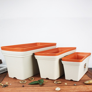 �����߲��ش�ͥԺ�Gֲ�L�l�N���L�����̨��֬���ϻ���