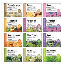 �����N���m��10-30ml����ƿ ޹�²� �ȼ��� ���� �Ե���˺���
