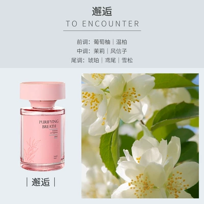 Car Perfume Aromatherapy Women's Ornaments 2025 New Long-Lasting - girly-pink-encounter