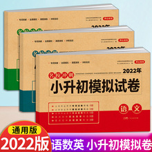 22小升初必刷题人教语数英真题试卷小学毕业系统总复习全套冲刺