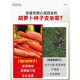 Carrot Seeds, Fruit and Vegetable Seeds, Red Cherry Radish Seeds, Balcony Potted Plants, Vegetable Seedlings for Autum Planting