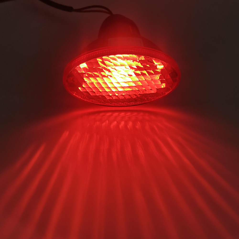 Lote de suministro Yutong Zhongba Shaolin Bus lámparas Yutong electrónica Luz de marcha atrás luz roja