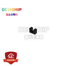 DEWCHIP ����SG206