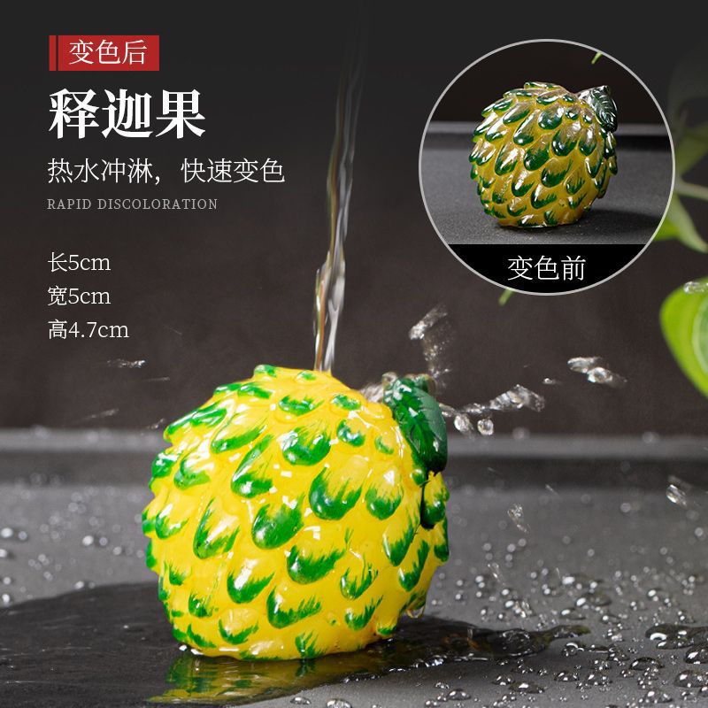 사카모니 과일 A