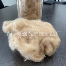 阿拉善超细17微米丝光骆驼绒细腻柔软蓬松适合纺织原料被服填充