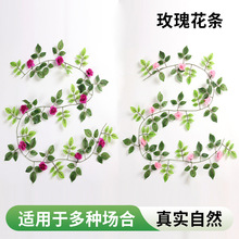 ���lõ�廨���쾰���l��c���پS����������õ�廨�l���Ϸ��滨��