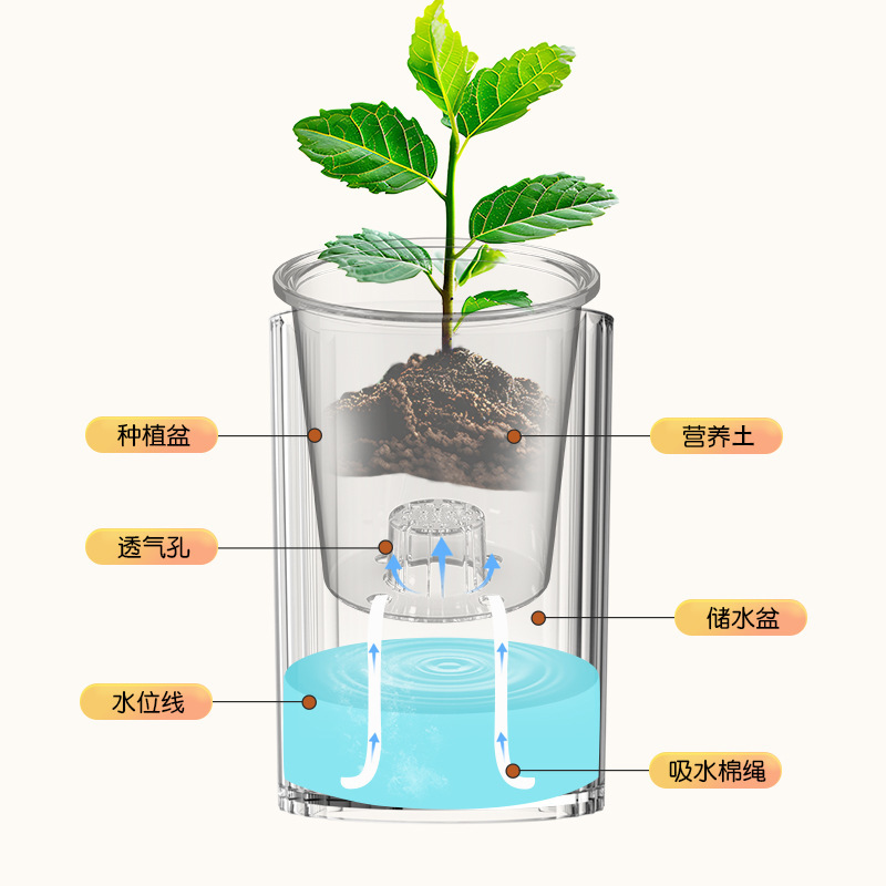 カラフルな家庭用装飾品、模造ガラスの創造的な花瓶、水耕栽培の植木鉢、怠け者でも簡単に育てられる多肉植物の特別な鉢。|undefined