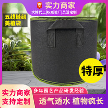 植物种植袋毛毡种花育苗花盆种植盆自吸水花卉阳台无纺布美植袋