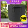 育苗吸水植物毛毡种植盆