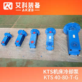 KTS 40-80-T-G高压机床冷却泵KNOLL替换泵