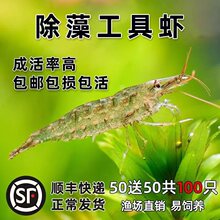 �ښ��r�坍�����̖�^�p�r�����~��w��ϵ�ˮ��ˮ�ݸ��~�׷ŵ�