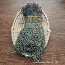 ɭ֮С~_С_θeݏVҰ_2022؛