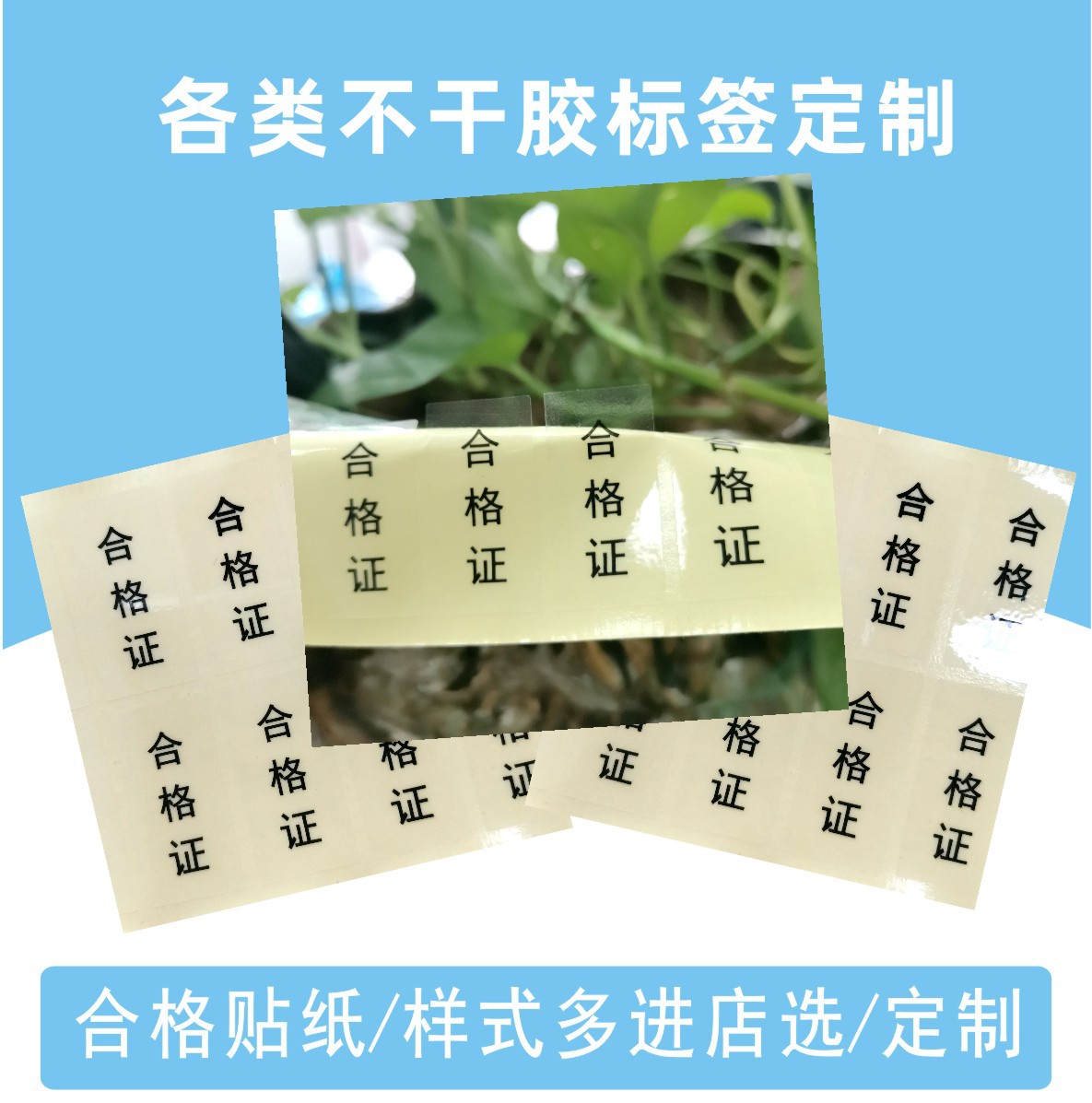 主图21-1012 底色不同5.jpg