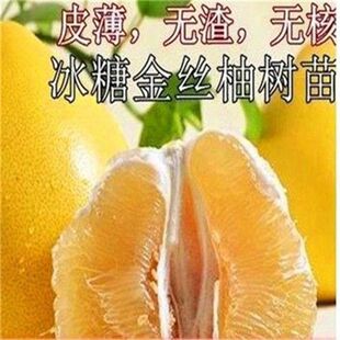 ����Ʒ�N���ǽ�z���Ә���޽����Ә����S�����Ә��箔��Y������