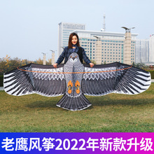 老鹰风筝大人专用网红儿童微风易飞成人超大型2022新款式