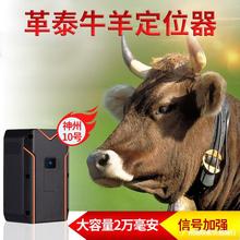 ţ��λ��׷ۙ����gps�l�Ǳ���ɽ�^����������h�̼ӏ���ۙ��