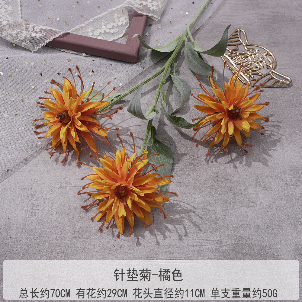 WP - Kim Pad Chrysanthemum - Cam