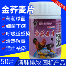 兽药兽用金荞麦片鸡呼吸道感染细菌下痢清热解毒活血化瘀清肺排脓