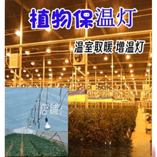 �»��܄�ֲ��̫ꖹⱣ�ؾGֲ�߲˟�������Ҽt�⾀��ȡů���؟�