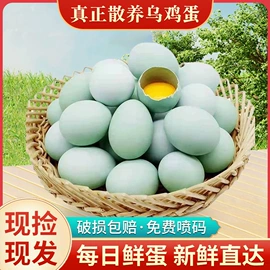 鸡蛋