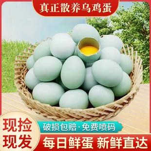 �r��G�����u����ɽɢ�B������r���u���r��ɢ�B�F��F�l���ӵ�