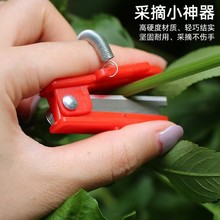 ˮ���߲˲�ժ������������횵�ժ�˲�ժĴָ�������S��ժ��С厵�