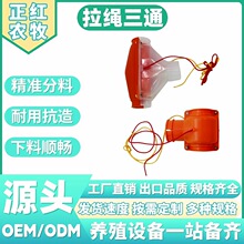 �Bֳ���B�i�����K��ͨ�Ӻ���ĥ�͸��g���Ϸ����_�P�i���Ͼ�����