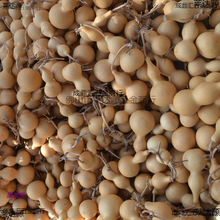 �Ԯa���N������Ȼ��ɫС�������J�Lˮ�����b�Ʒ�[��������N��