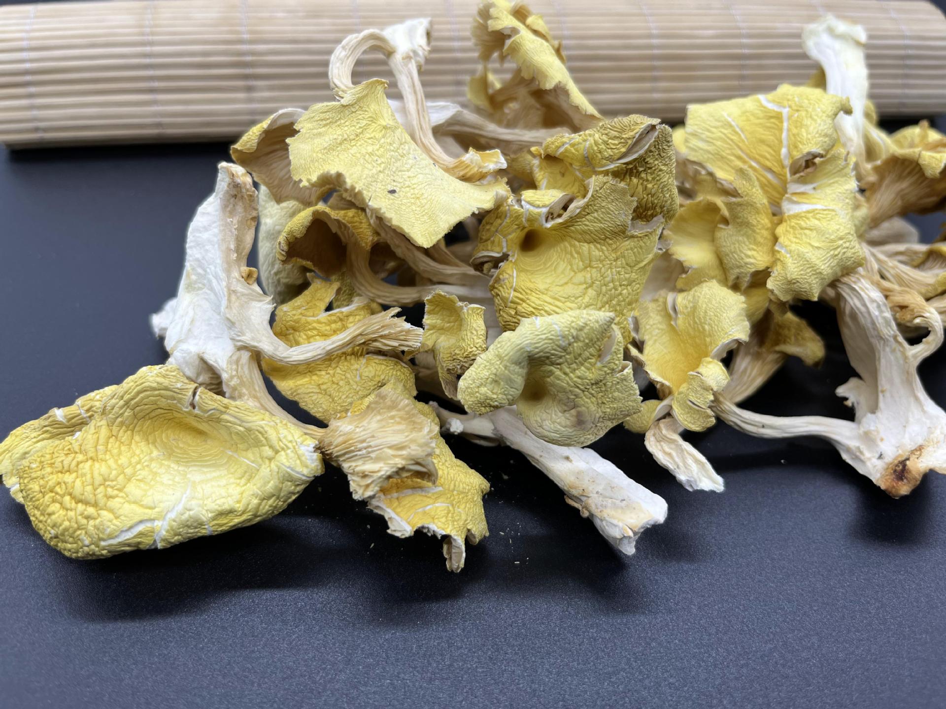 2022_11_09_10_28_IMG_9010