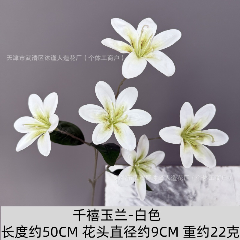 밀레니엄 목련