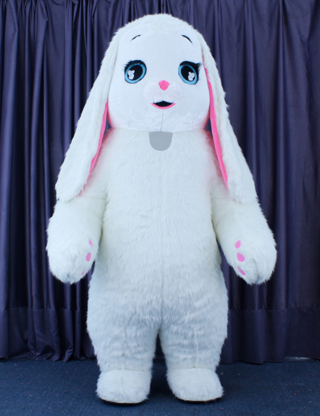 Fuchsia rabbit