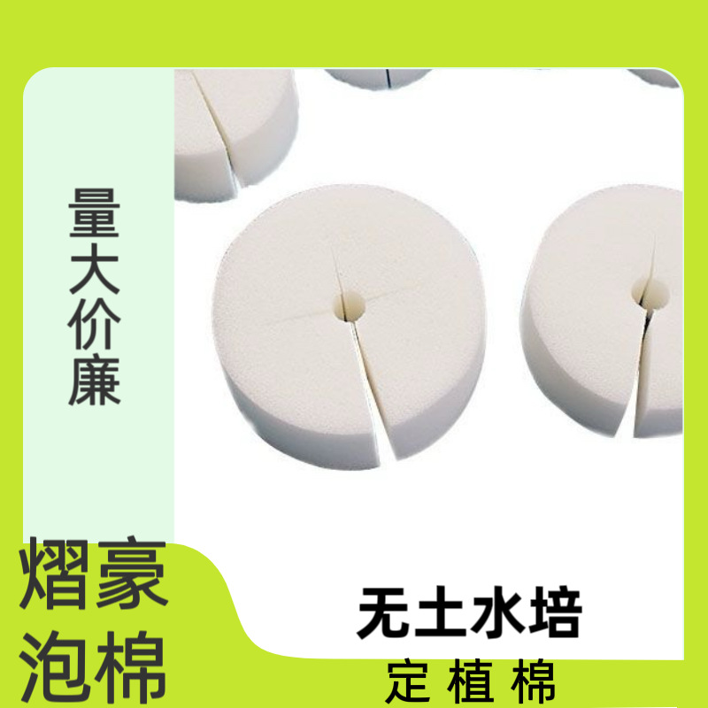 大棚蔬菜种植育苗海绵水培蔬菜无土栽培水耕定植海绵