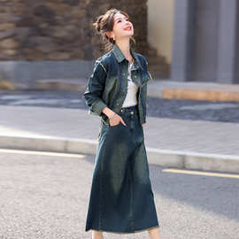 欧货流行牛仔套装女2024春秋新款高贵设计感时尚炸街减龄两件套裙