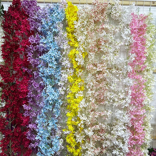 �羳�¿���ٗl���滨�����ٻ� ��c�Ĕz�߼����b��������l