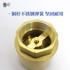 Brass vertical check valve thickened tap water pipe check valve one-way valve spring-type valve 4 minutes 6 minutes 1 inch