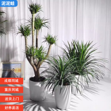 �ɶ���Ѫ���Ϙ����Կ͏d�k���҃ȴ��;Gֲ�ļ����ຆ�s�W�t�辰