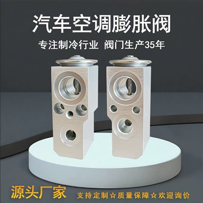 Car Air Conditioning Expansion Valve Suitable for Mercedes-Benz Car Expansion Valve Air Conditioning Parts Car Accessories Car Air Conditioning Accessories