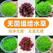 �o����ǰ���� ���ذ����� ������ Ѫ���m ��Ȫ̫� ����ţë