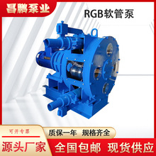 RG50軟管泵 蠕動泵 碳鋼擠壓泵 污泥泥漿進料泵 膩子轉子泵